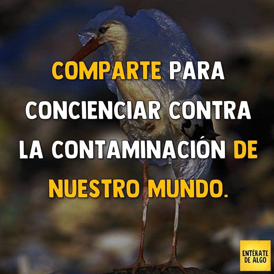 contaminacion6